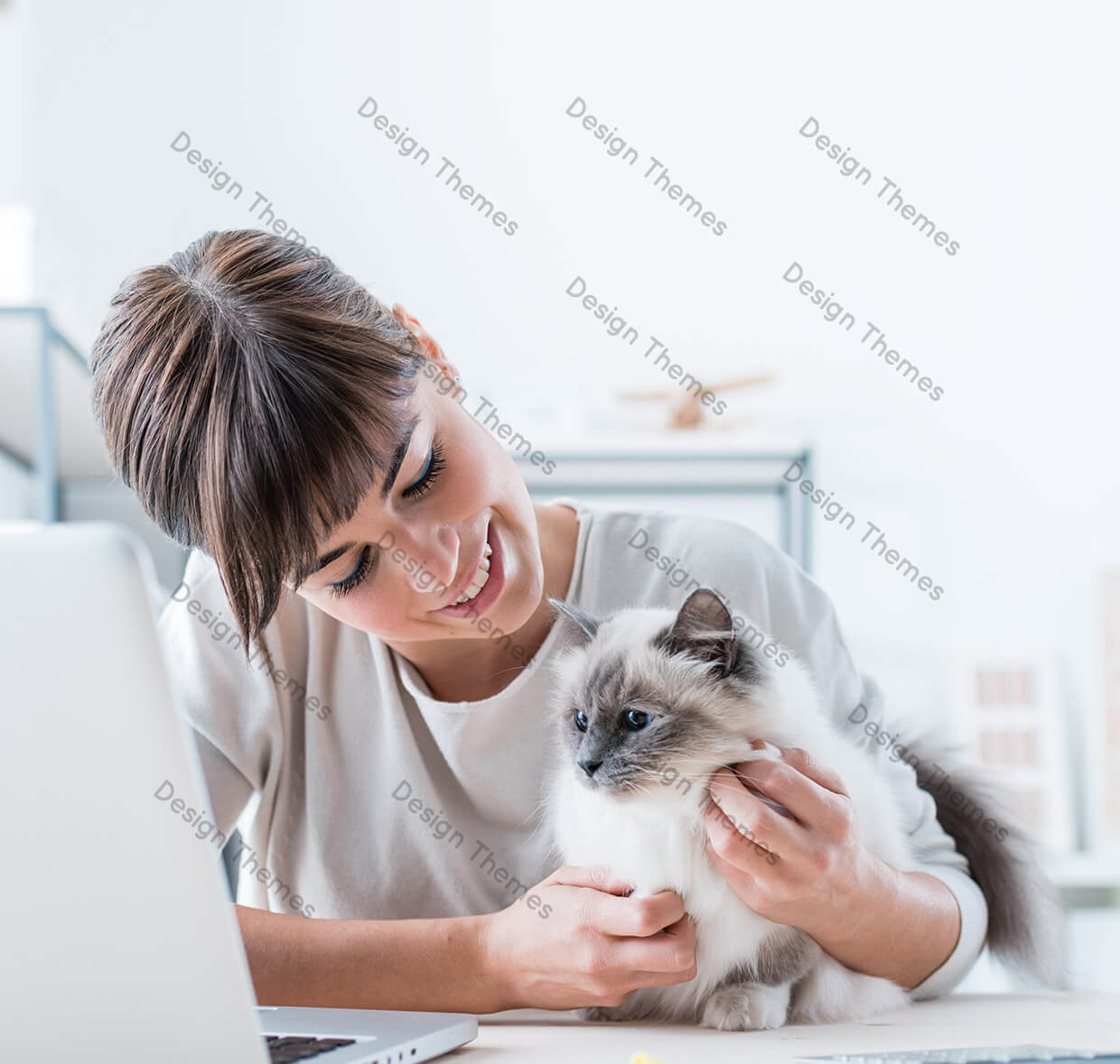 pet7